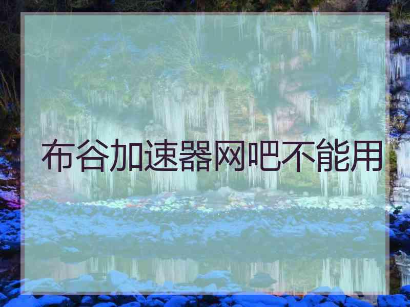 布谷加速器网吧不能用