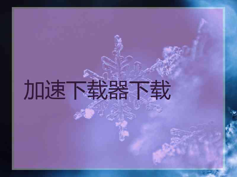 加速下载器下载