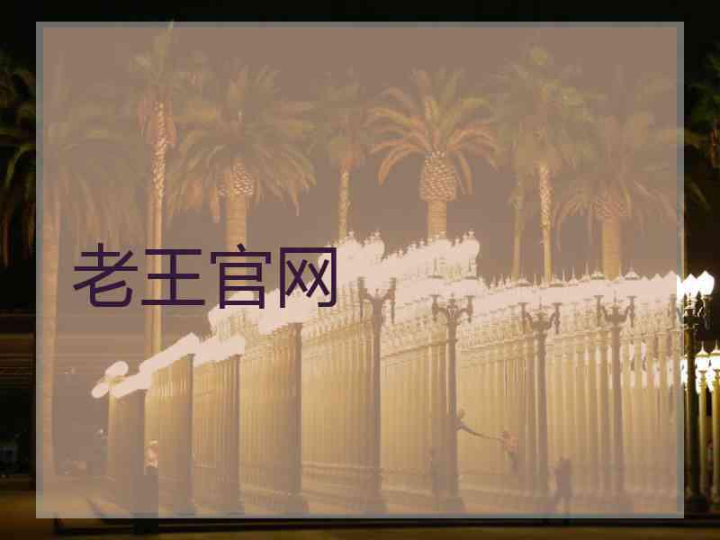 老王官网