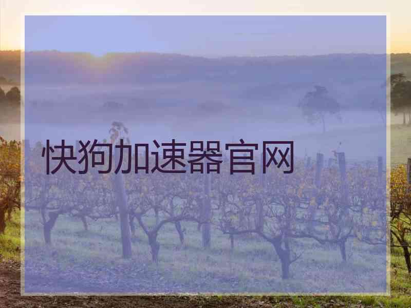 快狗加速器官网