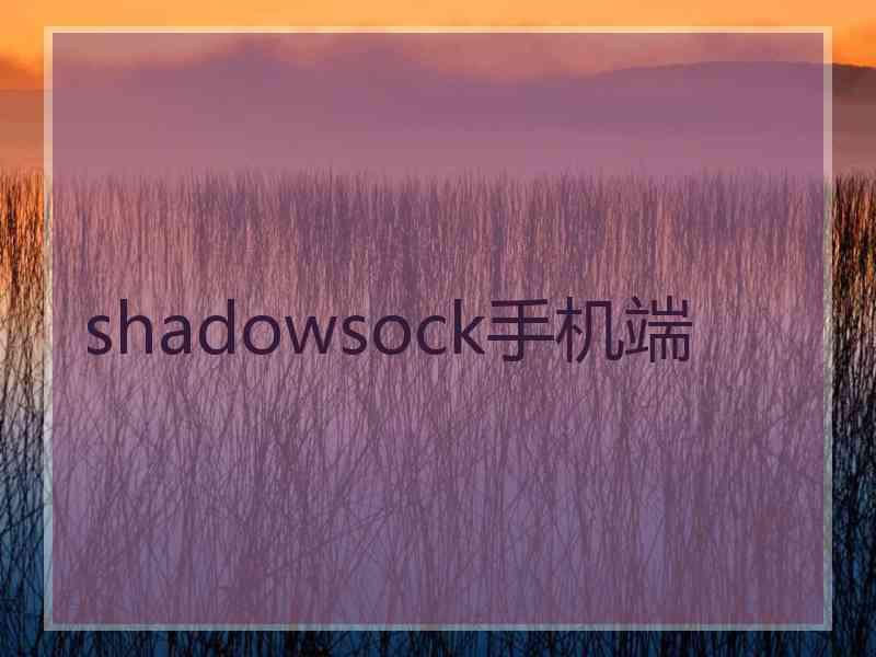 shadowsock手机端