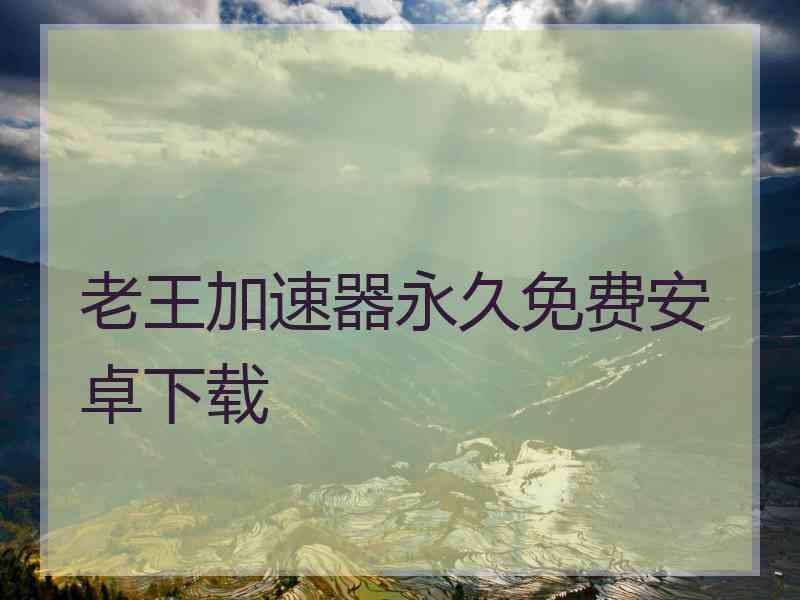 老王加速器永久免费安卓下载