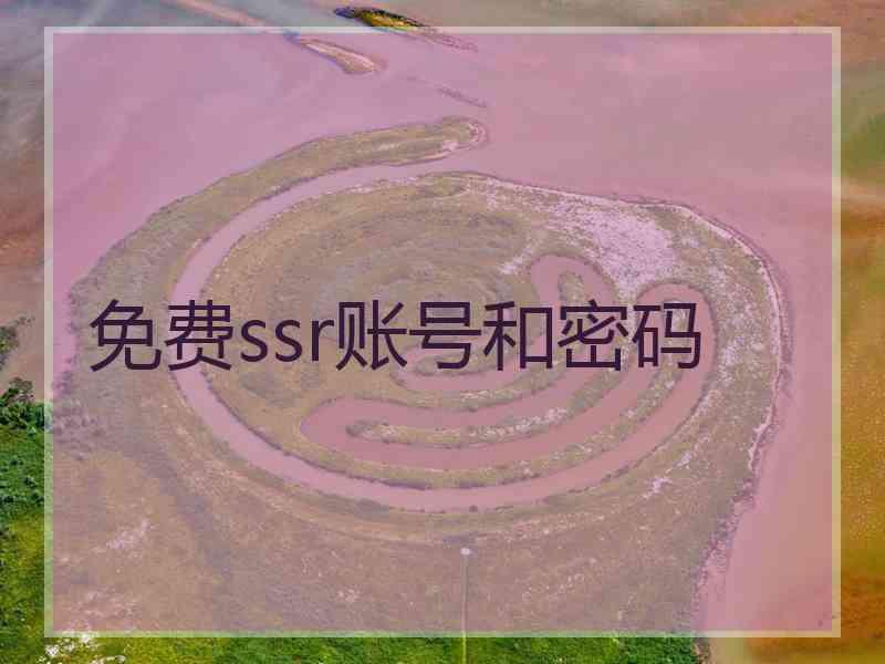 免费ssr账号和密码