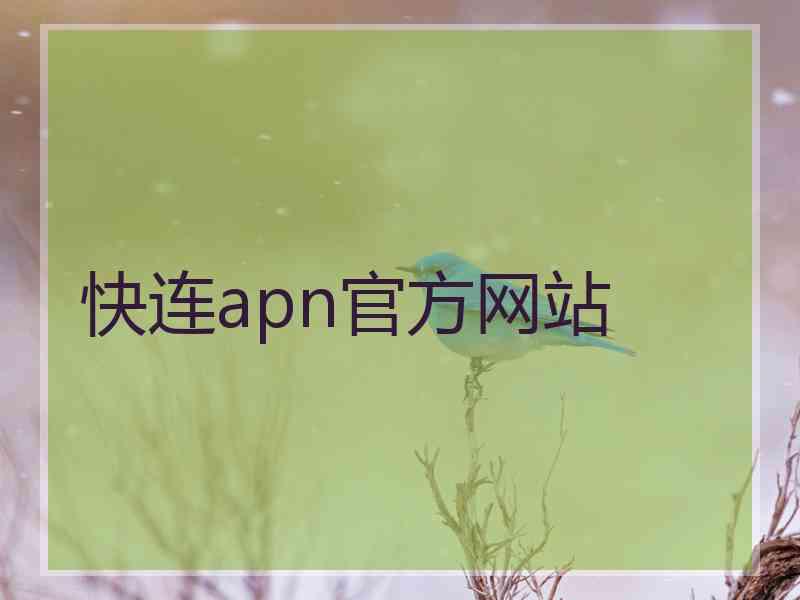 快连apn官方网站