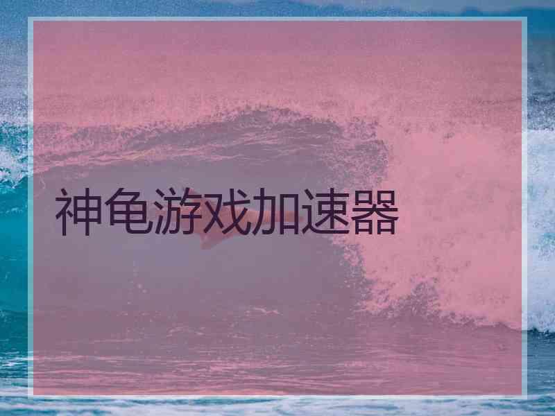 神龟游戏加速器