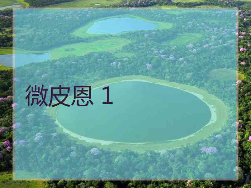 微皮恩 1