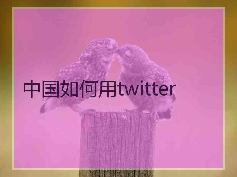 中国如何用twitter