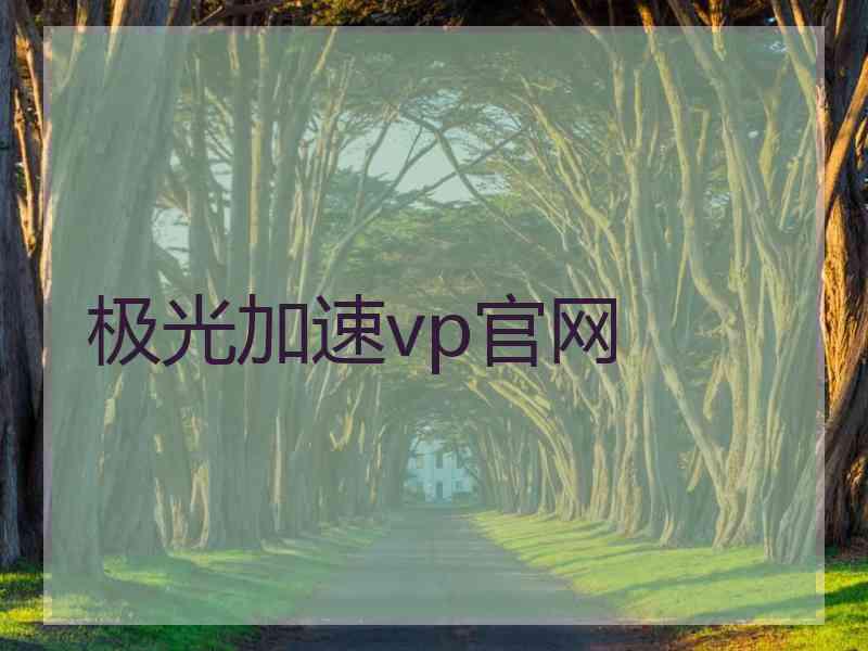 极光加速vp官网