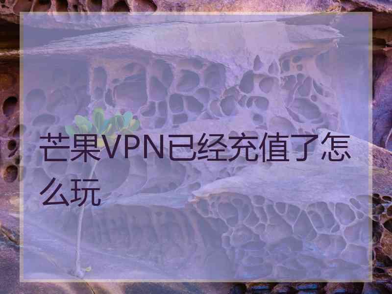芒果VPN已经充值了怎么玩