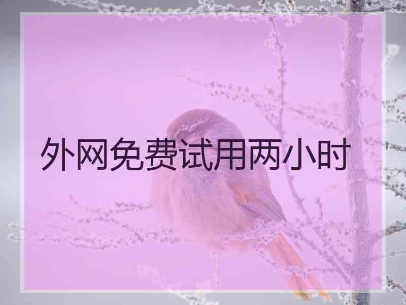外网免费试用两小时