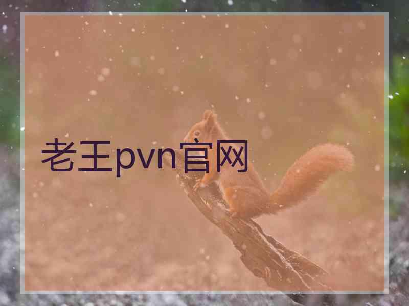 老王pvn官网
