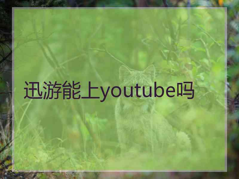 迅游能上youtube吗