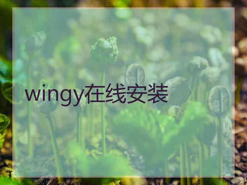 wingy在线安装