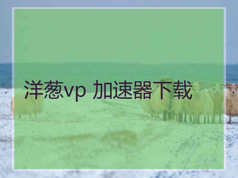 洋葱vp 加速器下载