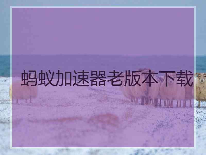 蚂蚁加速器老版本下载