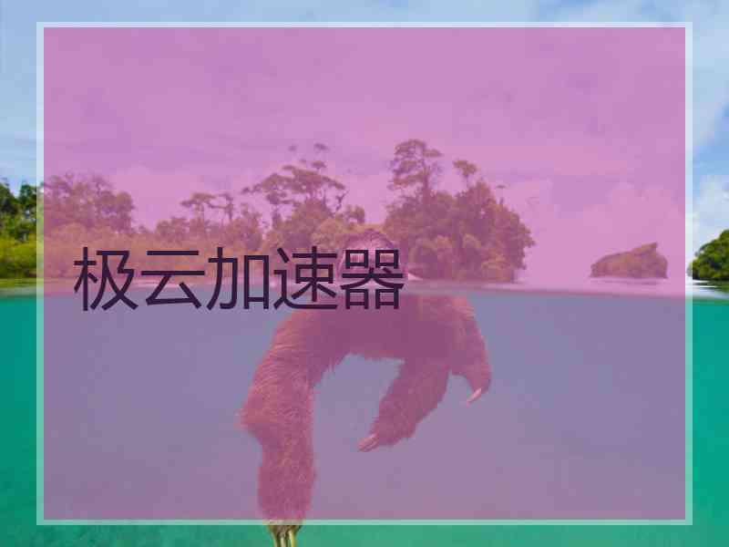 极云加速器
