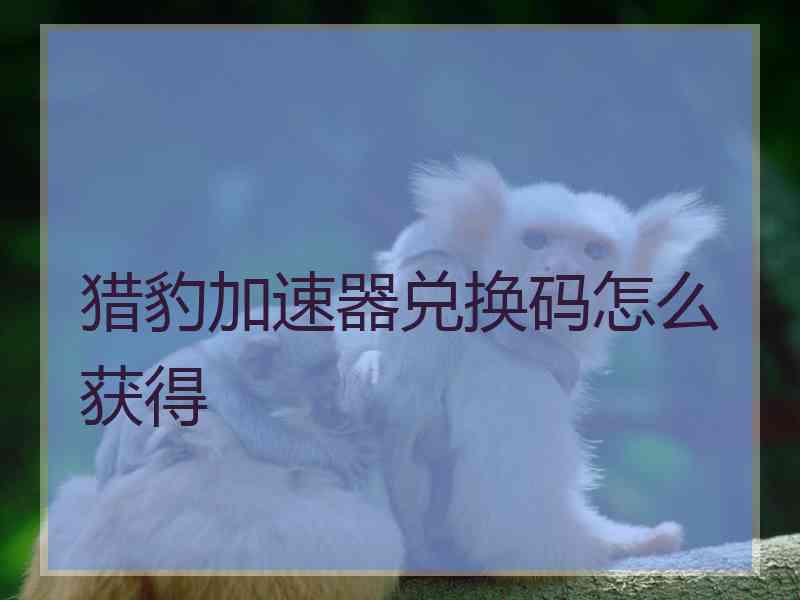猎豹加速器兑换码怎么获得