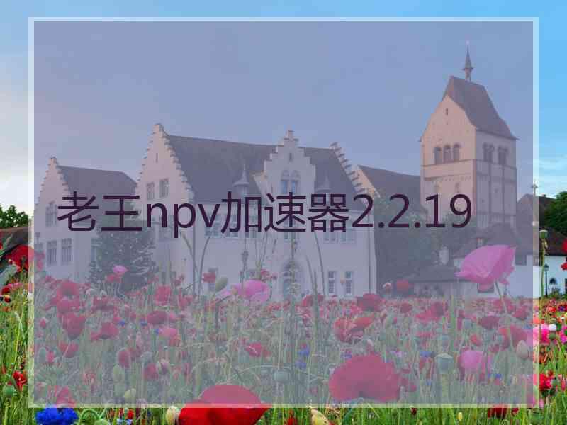 老王npv加速器2.2.19
