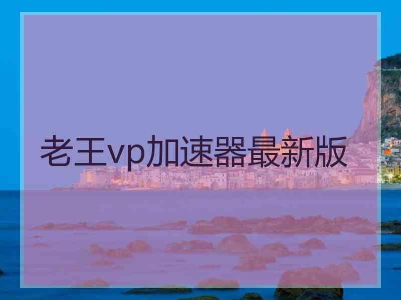 老王vp加速器最新版
