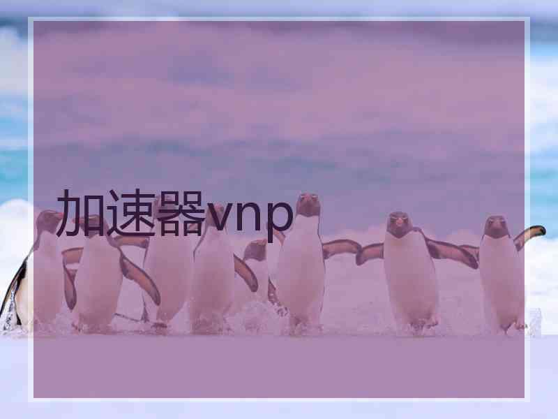 加速器vnp
