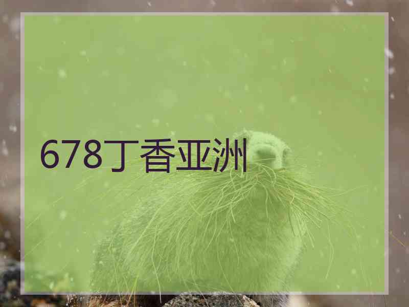 678丁香亚洲
