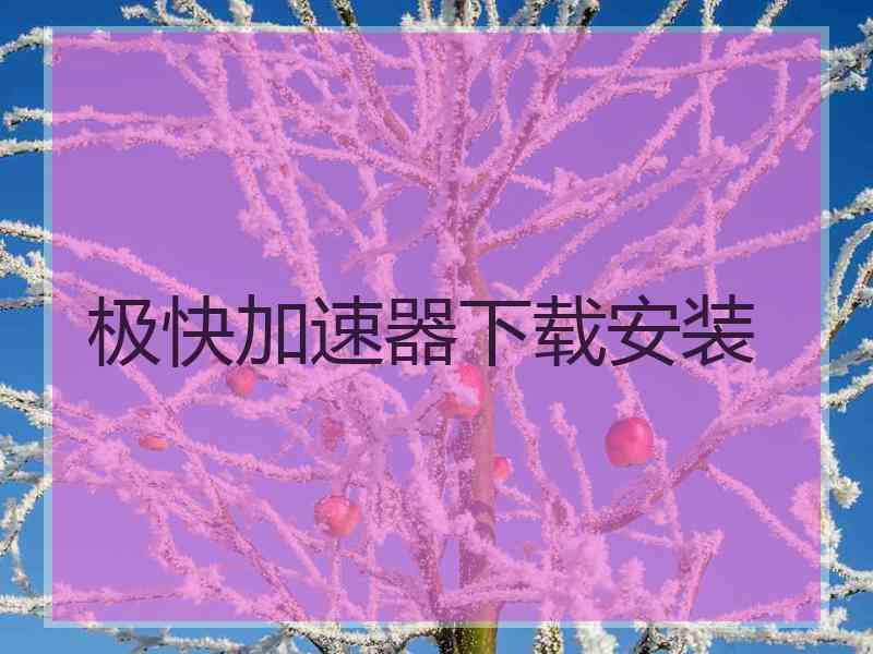 极快加速器下载安装