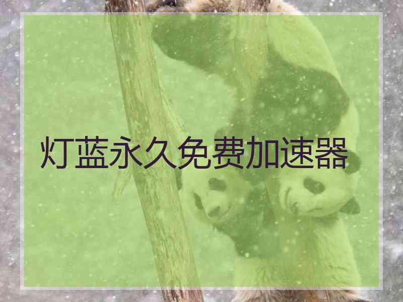 灯蓝永久免费加速器