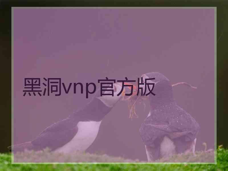 黑洞vnp官方版