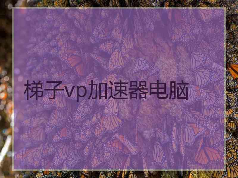 梯子vp加速器电脑