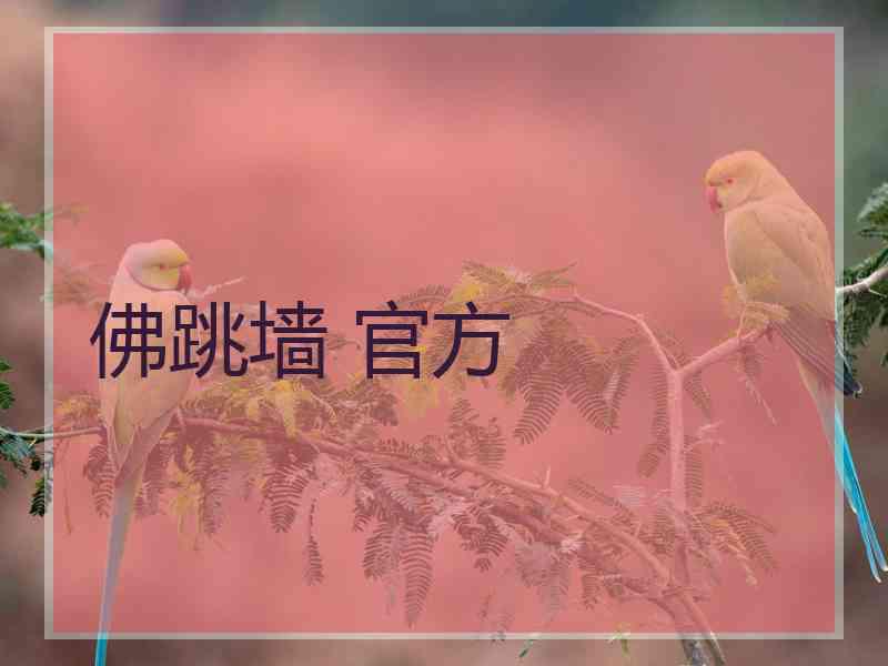 佛跳墙 官方