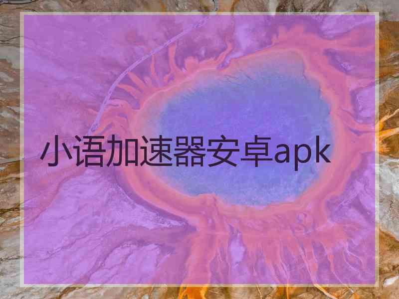 小语加速器安卓apk