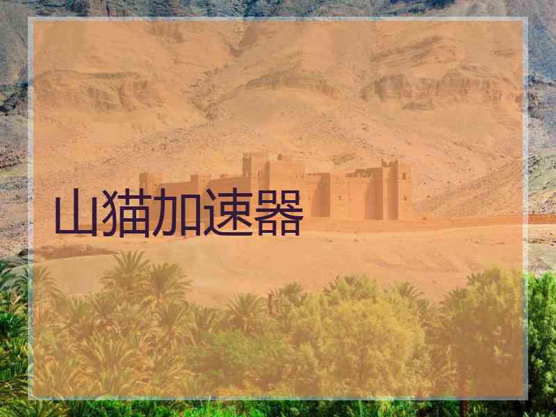 山猫加速器