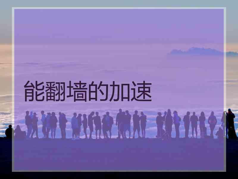 能翻墙的加速