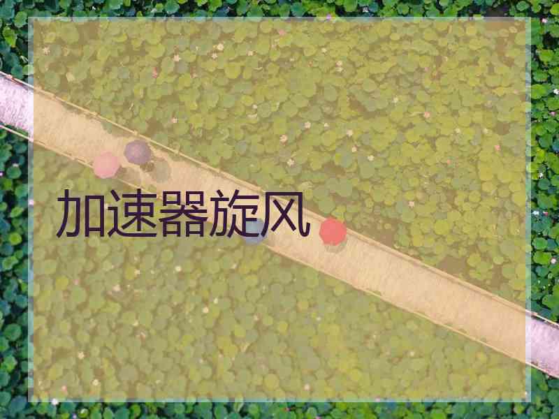 加速器旋风