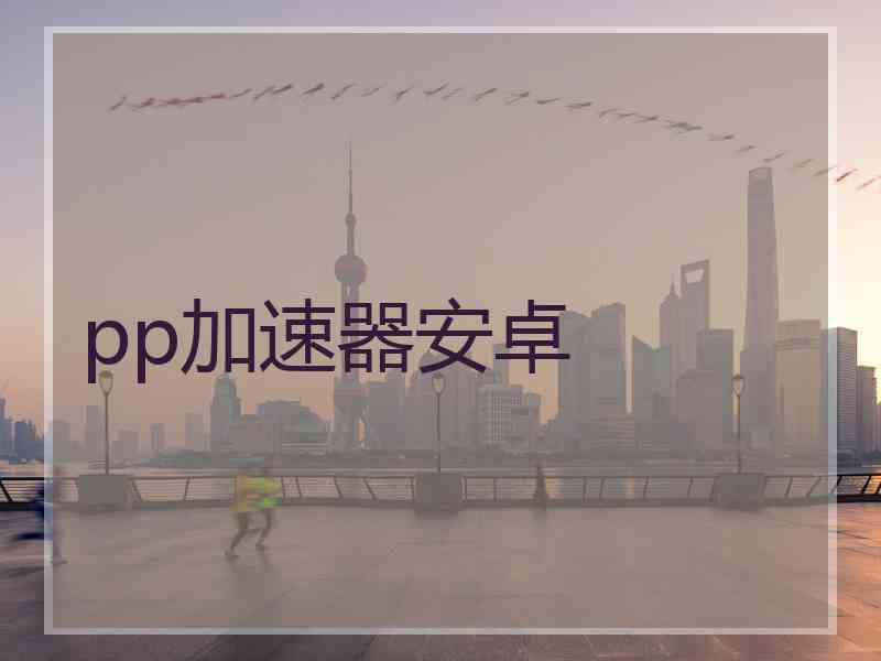 pp加速器安卓