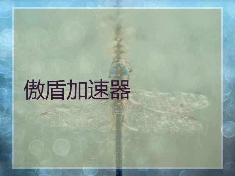 傲盾加速器