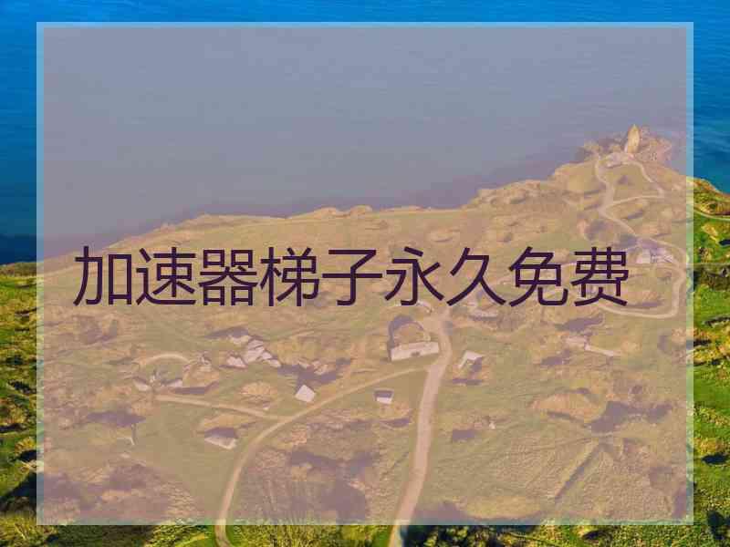 加速器梯子永久免费