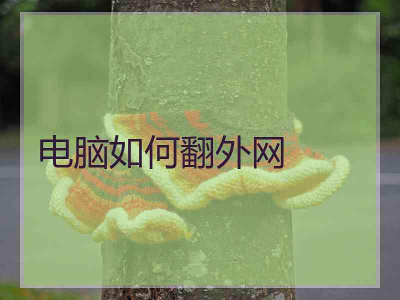 电脑如何翻外网