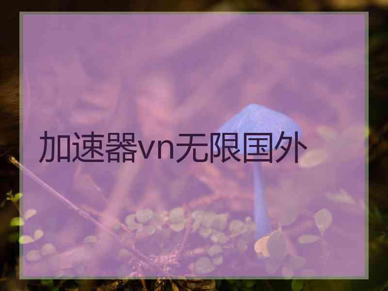 加速器vn无限国外