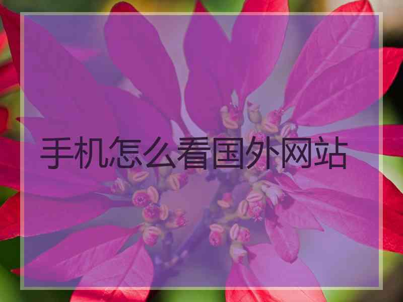 手机怎么看国外网站