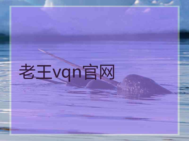 老王vqn官网