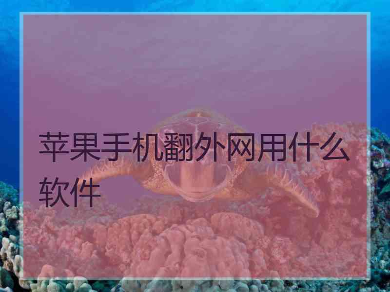 苹果手机翻外网用什么软件
