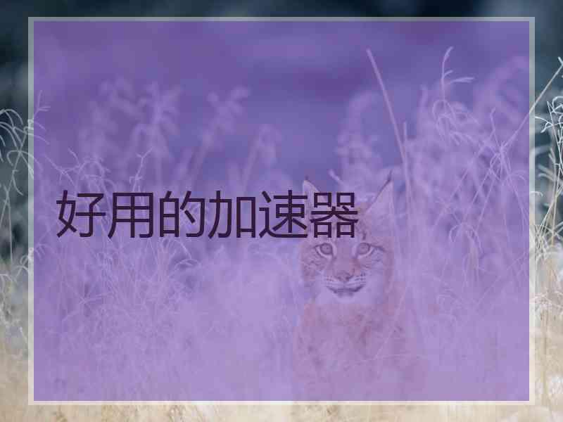 好用的加速器