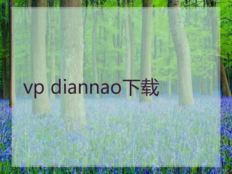 vp diannao下载