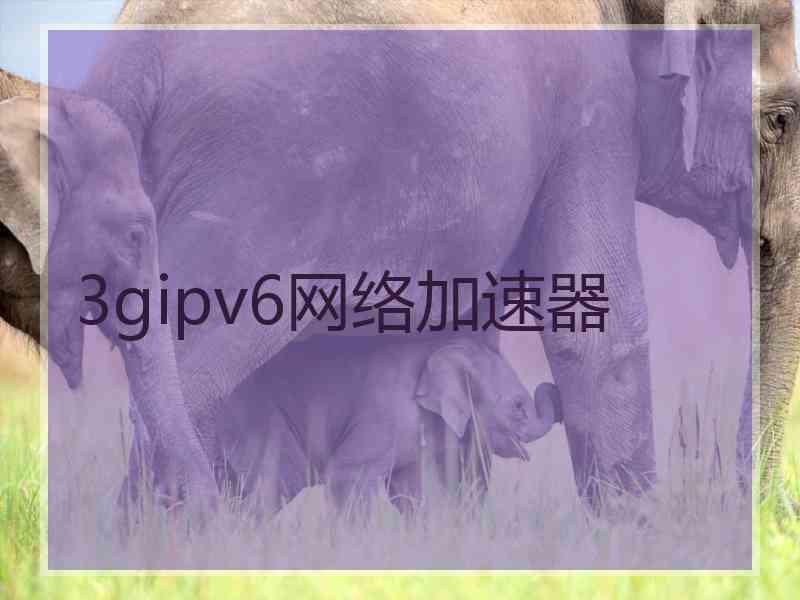 3gipv6网络加速器