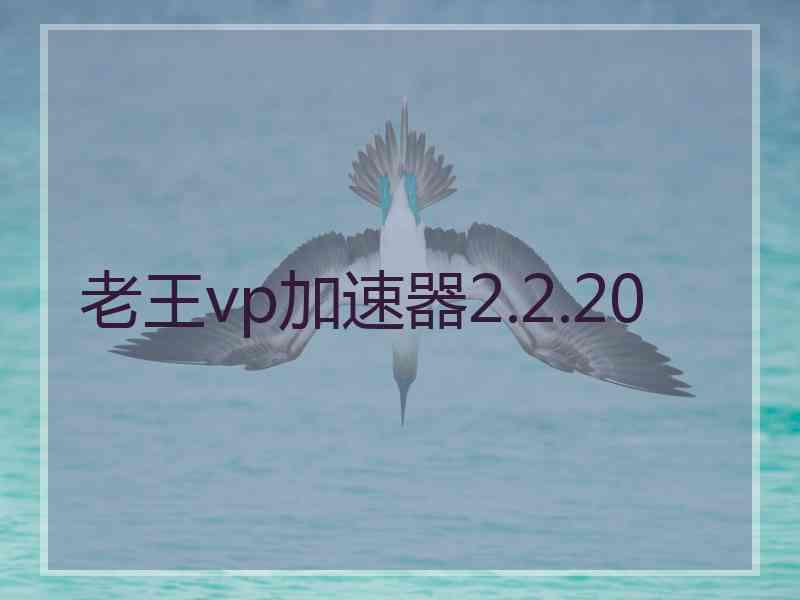 老王vp加速器2.2.20