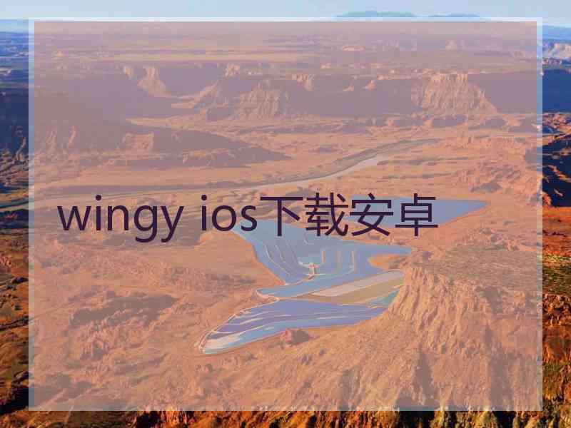 wingy ios下载安卓