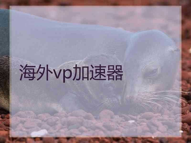 海外vp加速器