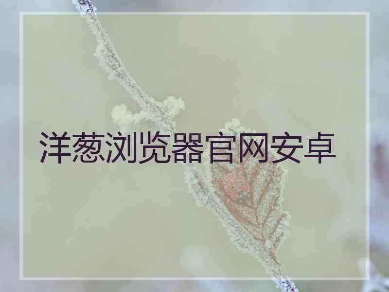 洋葱浏览器官网安卓