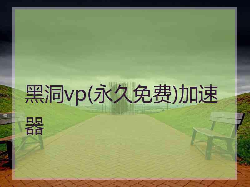 黑洞vp(永久免费)加速器
